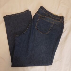 Embroidered Jeans Size 24 By Two Girls Dancing sequins beads floral CUTE!